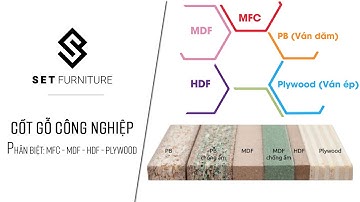 Gỗ công nghiệp là gì? Có những loại gỗ công nghiệp nào?