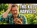Everything I Planted Destroyed My Harvest