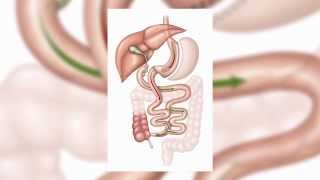 The Advantages of the Gastric Sleeve