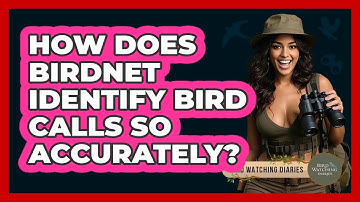 How Does BirdNET Identify Bird Calls So Accurately? - Bird Watching Diaries