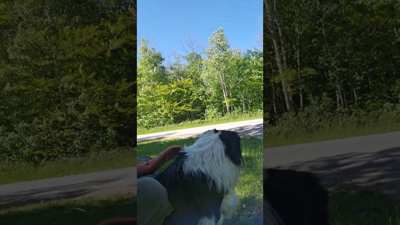 We Arrive MacGregor Provincial Park