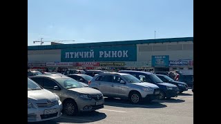 ПТИЧИЙ РЫНОК САДОВОД МОСКВА (СЕНТЯБРЬ - ОКТЯБРЬ 2019). РЫБКИ, РАСТЕНИЯ, КОРЯГИ, КОРМА (ОСЕНЬ 2019) ПТИЧИЙ РЫНОК САДОВОД МОСКВА (СЕНТЯБРЬ - ОКТЯБРЬ 2019). РЫБКИ, РАСТЕНИЯ, КОРЯГИ, КОРМА (ОСЕНЬ 2019)