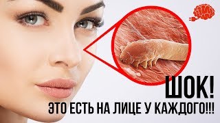 НАШЕ НАСТОЯЩЕЕ ЛИЦО! ШОК! 10 фактов о лице, о которых вы не знали