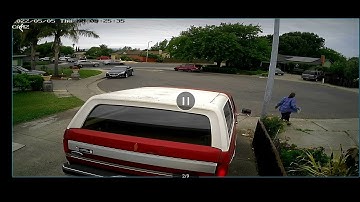 Crazy Veronica goes in my yard to kick trash into my yard