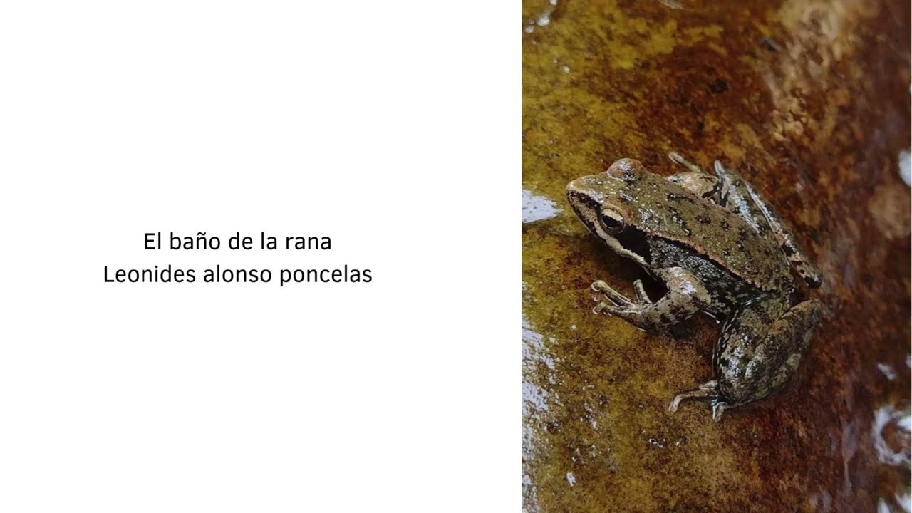 Vídeo VI CONCURSO DE FOTOGRAFÍA DE LA RESERVA DE LA BIOSFERA DE LOS ANCARES LEONESES 2023