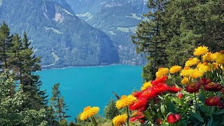 Flüelen - Lake Lucerne, Uri Canton, Switzerland