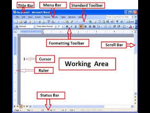 Introduction to MS Word - YouTube