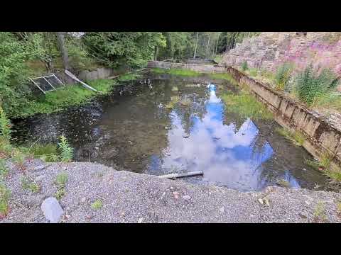 Exploring The Old Mining Village Of Allenheads, Northumberland.