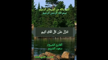 وَتَوَكَّلْ عَلَى الْعَزِيزِ الرَّحِيمِ 🌴 الَّذِي يَرَاكَ حِينَ تَقُومُ 🌴 قرآن كريم 🌴 سورة الشعراء 🌴