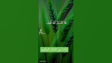ايات من القران الكريم #quran #اكسبلور #دويتو #المصحف #لايك #العظماء #duet #تيك_توك #حالات_واتس