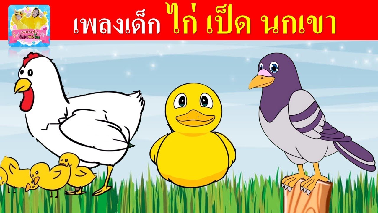 เพลงเด็ก ไก่ เป็ด นกเขา | ไก่กุ๊กกุ๊กไก่ | เป็ดก้าบก้าบ | นกเขาบินข้ามเขา