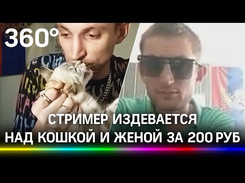 Стример издевается над кошкой и женой за 200 руб. В Твери возмущены племянником депутата