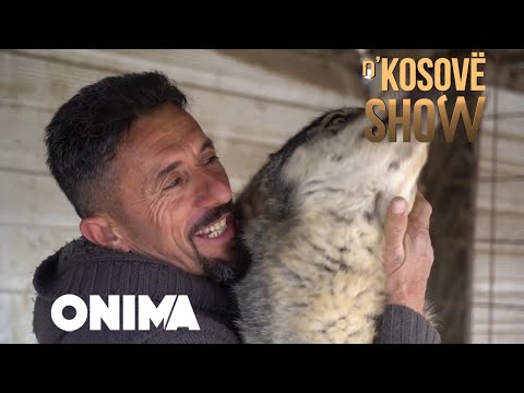 Video: Si Të Stërvitni Një Ujk