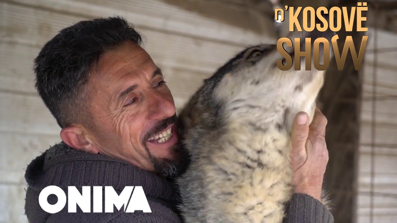 Gjakovari qe “ dashuron” dhe smund te jetoj pa ujkun e eger shikojeni si e puthe dhe si e ka zbutur