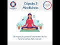 Capsula 3 Mindfulness