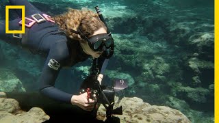 Download Lagu Anyone Can Be an Underwater Photographer | National Geographic MP3 Download Lagu Anyone Can Be an Underwater Photographer | National Geographic MP3