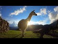 LAND OF THE INCA - A Journey Through Wild Peru
