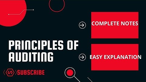 PRINCIPLES OF AUDITING| 9 Principles of auditing