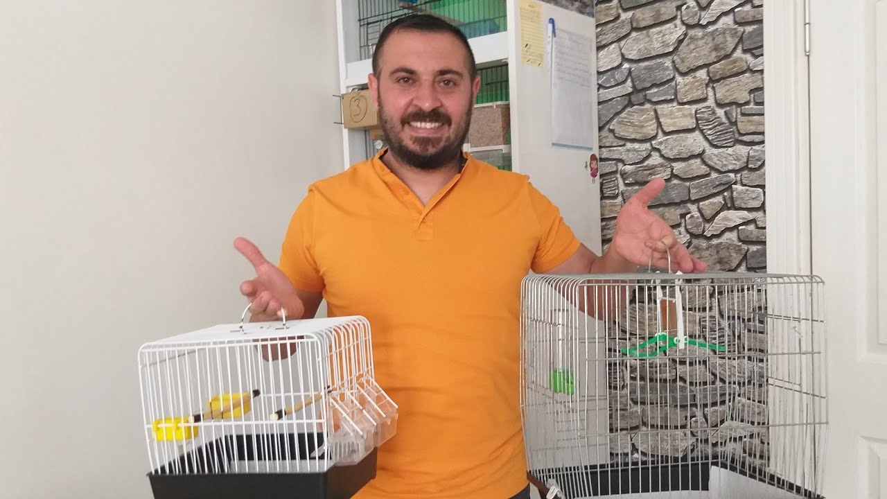 Bengal ispinozu için Kafes alırken nelere dikkat etmeliyiz?(+tünek sistemi)