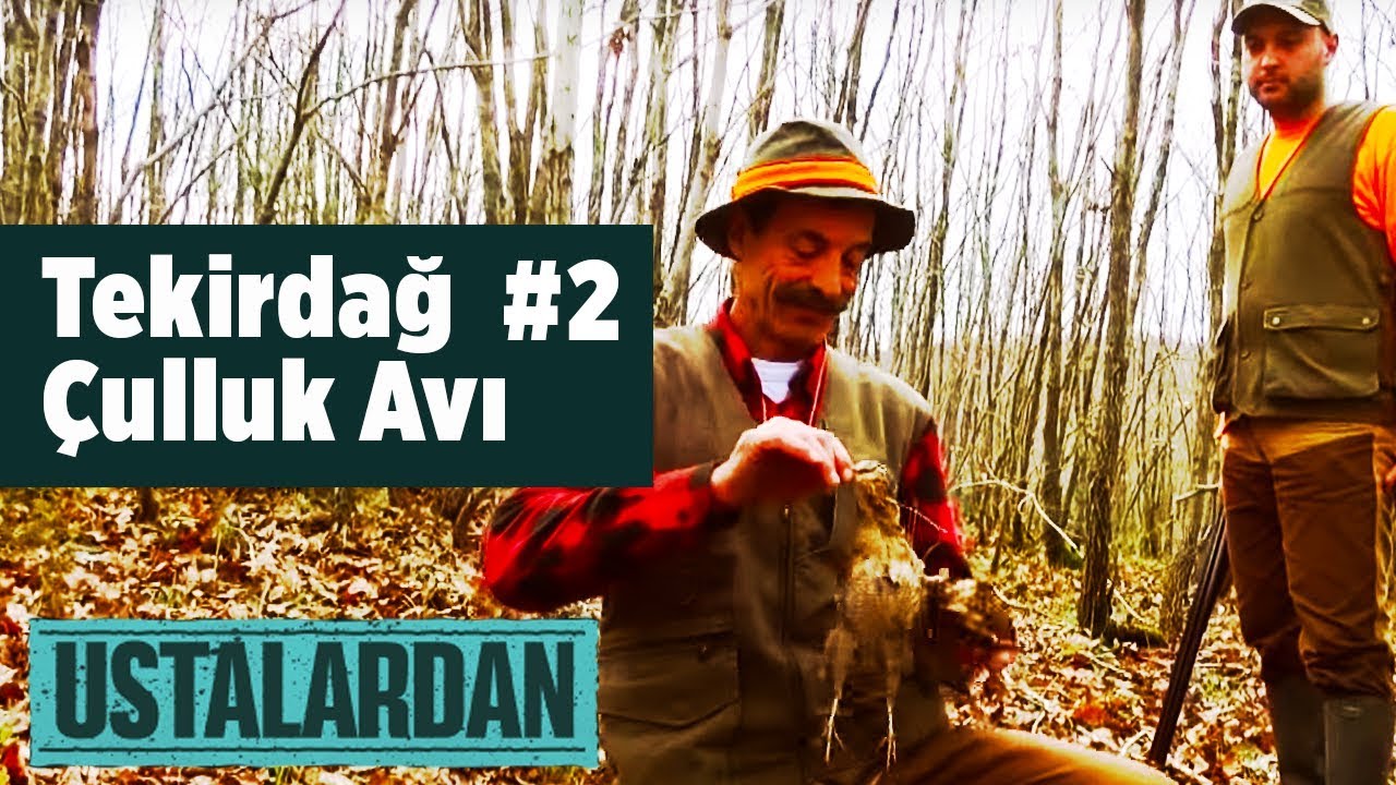Tekirdağ  Çulluk Avı - 2 - Ustalardan - Yaban Tv  Woodcock Hunting Turkey
