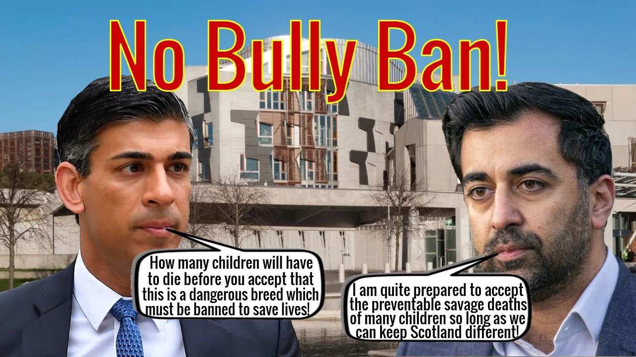 Humza Yousaf Denies Need For Bully Ban! - YouTube