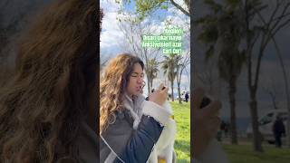 Kedileri Dışarı Çıkarmayın Anksiyeteleri Azar Cart Curt, Benimki Travellar