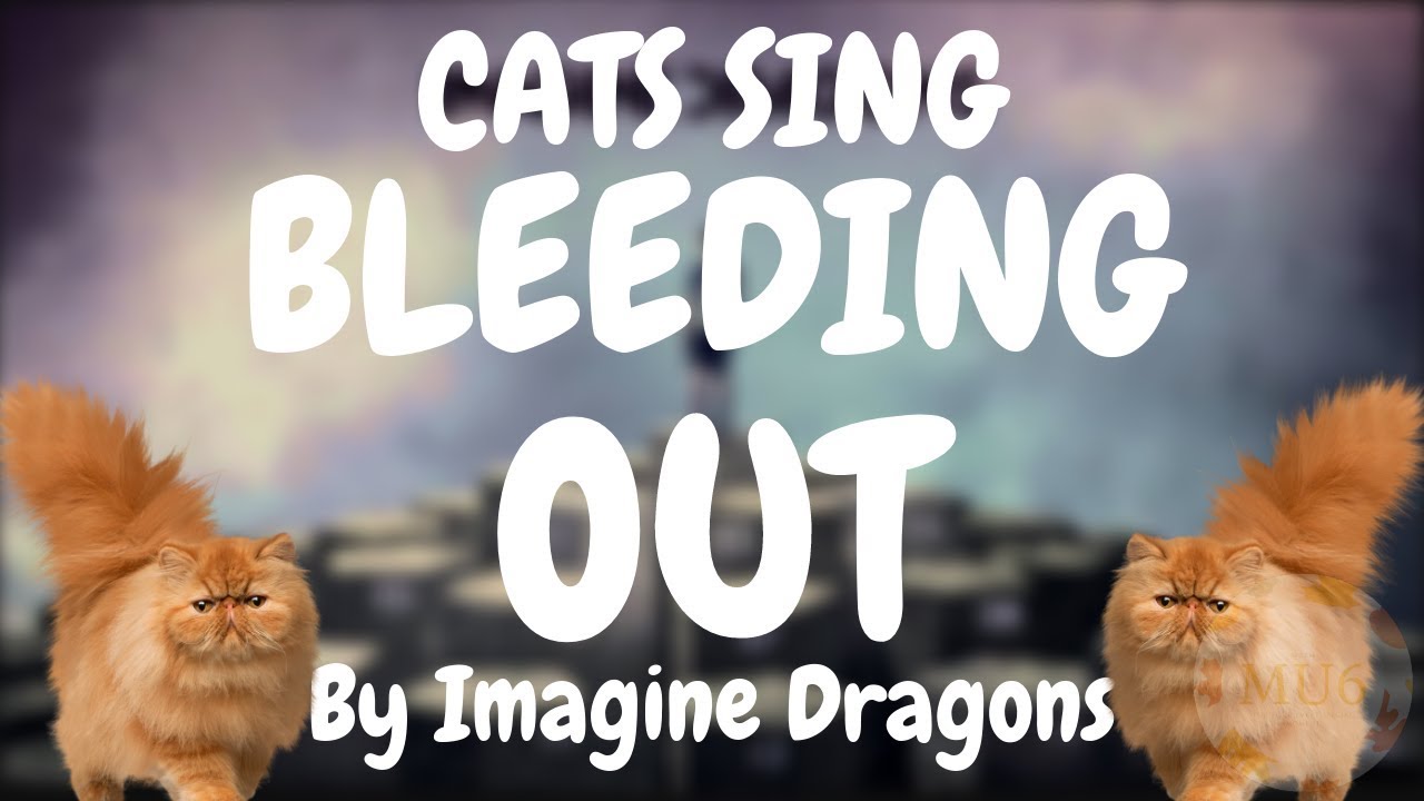 Cats can sing