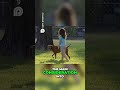 Choosing a Dog  Beyond Emotional Support1