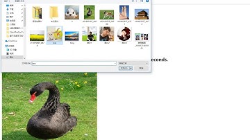Image Classification Website Demo