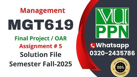 MGT619 Assignment 5 Solution fall 2025 #mgt619 #project