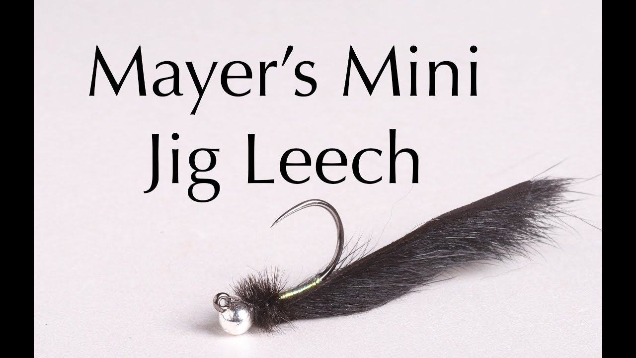 Fly Tying: Mayer's Mini Jig Leech, Fly Fishing Journeys podcast, and  Wyoming Fly Fishing! 