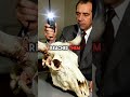 The Yale Professor Who Stopped a Charging Bull With a Button: The Dark Truth Behind Mind Control