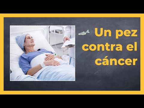 Video: Tumores Y Cánceres En Peces
