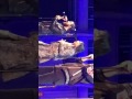 Pentatonix performing &#39;Coldest Winter &amp; &#39;Hallelujah&#39;&#39; Hollywood Bowl 02-07-2017