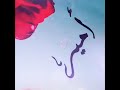اجمل اغاني على اسم امير حالات واتس