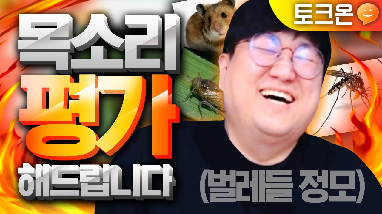 🤣벌레들과 함께하는 드립도 터지고 인성도터지는 목소리 평가방 🤣 [노래하는코트]