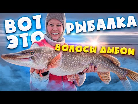 ЛЮТАЯ РЫБАЛКА / МЕЧТА ЛЮБОГО РЫБАКА оторваться на зимней рыбалке на жерлицы