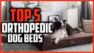 ✅Best Orthopedic Dog Beds in 2024
