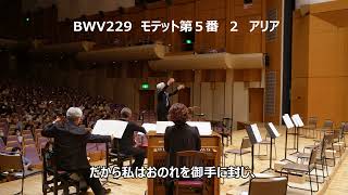 東京バロック・スコラーズ 第19回演奏会 2023-06-18 ティアラこうとう