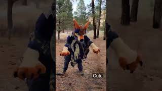 hello there? credit: FluffyCyborgs #nature #fursuit #fursuiter hello there? credit: FluffyCyborgs #nature #fursuit #fursuiter