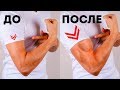 6 простых упражнений, чтобы накачать мышцы рук в кратчайшие сроки
