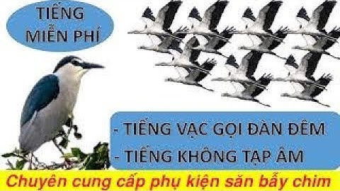 Tiếng VẠC gọi đàn đêm 7 phút hủy diệt