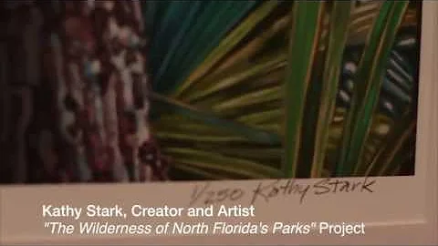 Kathy Stark - The Wilderness of North Florida's Pa...