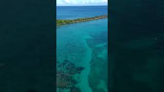 swimming in Culebra