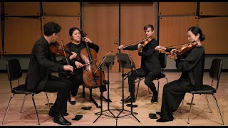 Mozart String Quartet No.23 in F Major, K.590 Profile