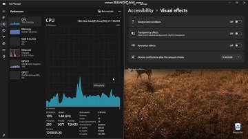 How To Disable Animation Effects in Windows 11
