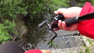 小さな川の流れ込みにジョイクロをブチ込んだら・・・