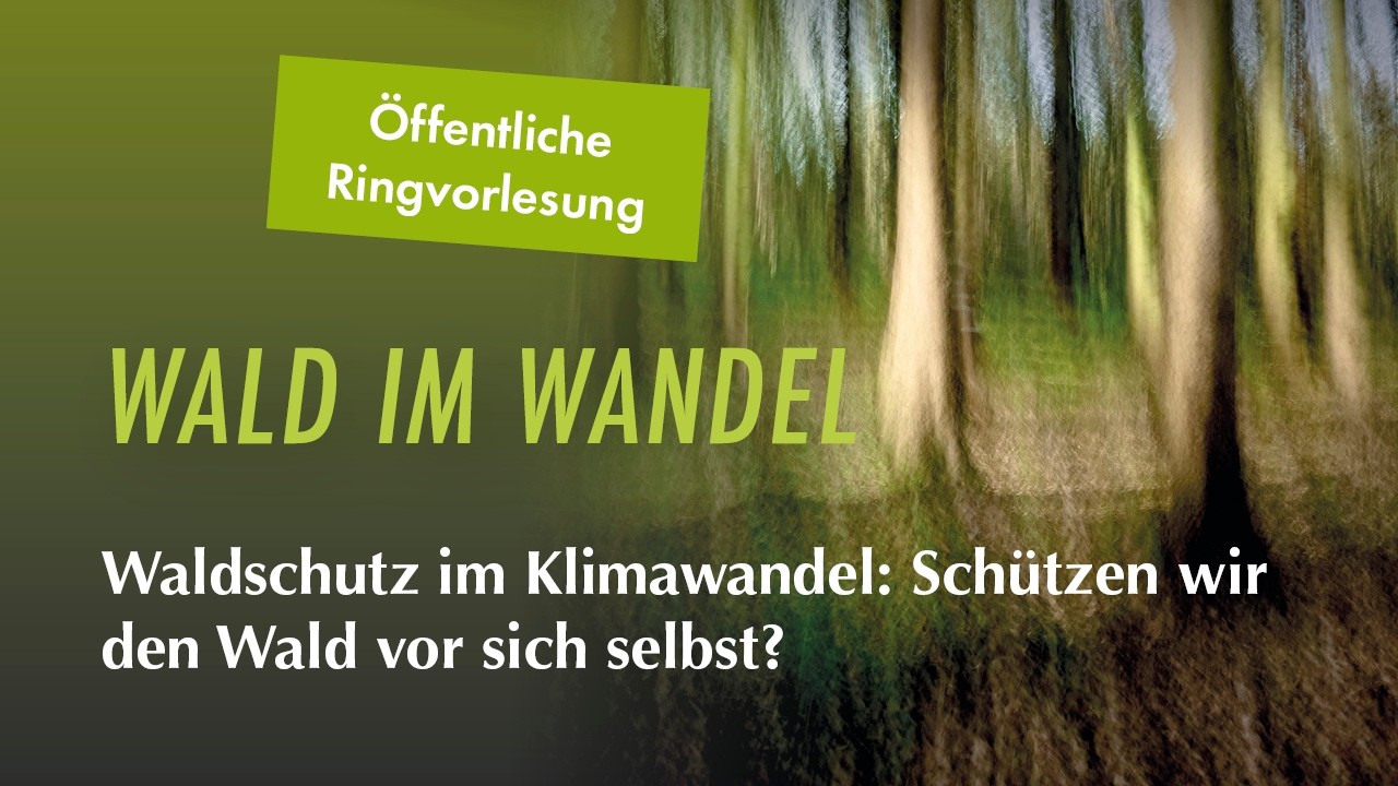 Waldschutz im Klimawandel: Schützen wir den Wald vor sich selbst? Ringvorlesung Uni Göttingen