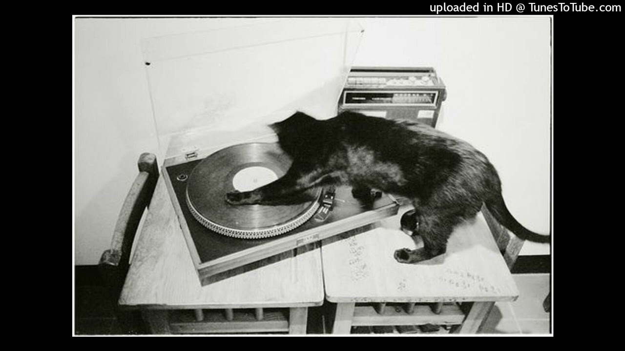 Metal Machine Music (remixed by Rodney Orpheus of The Cassandra Complex)