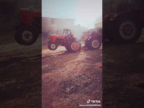 الي ابوه صعيدي مايخافش